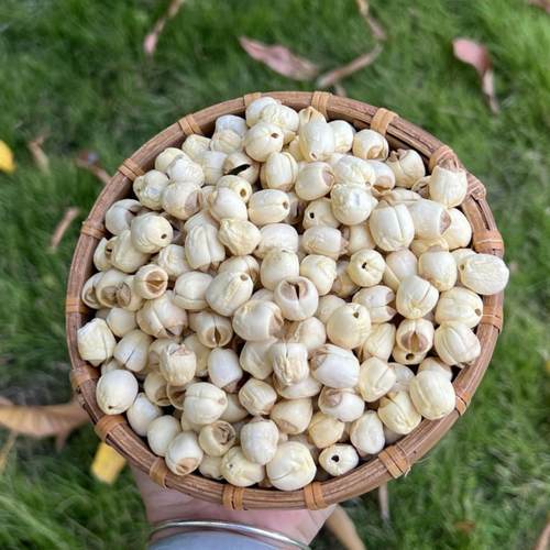 去皮去芯白莲子建宁莲子干货