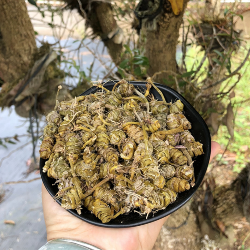 无渣铁皮石斛 枫斗龙头凤尾石斛粗条 紫石斛干货养生茶汤料包食材