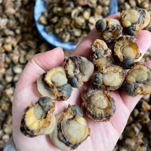 特干大号扇贝干全贝干海鲜瑶柱干贝全元贝海产品干货50-500克