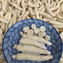 白糖参 长白山 糖泡白参山参 小孩不吃饭煲太子参白糖参汤 泡节参