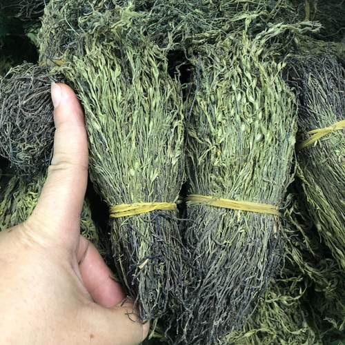 短独脚金煲汤料 疳积草野的独脚金汤包 孩儿草独角金疳积草黄花草