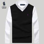 Áo vest nam cổ điển Paul mùa xuân và áo len mùa thu V-cổ Slim áo không tay cotton cotton áo len vest nam - Dệt kim Vest