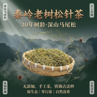 秦岭新鲜老树马尾松松针茶深山手工采摘铁锅古法炒制松针松叶茶