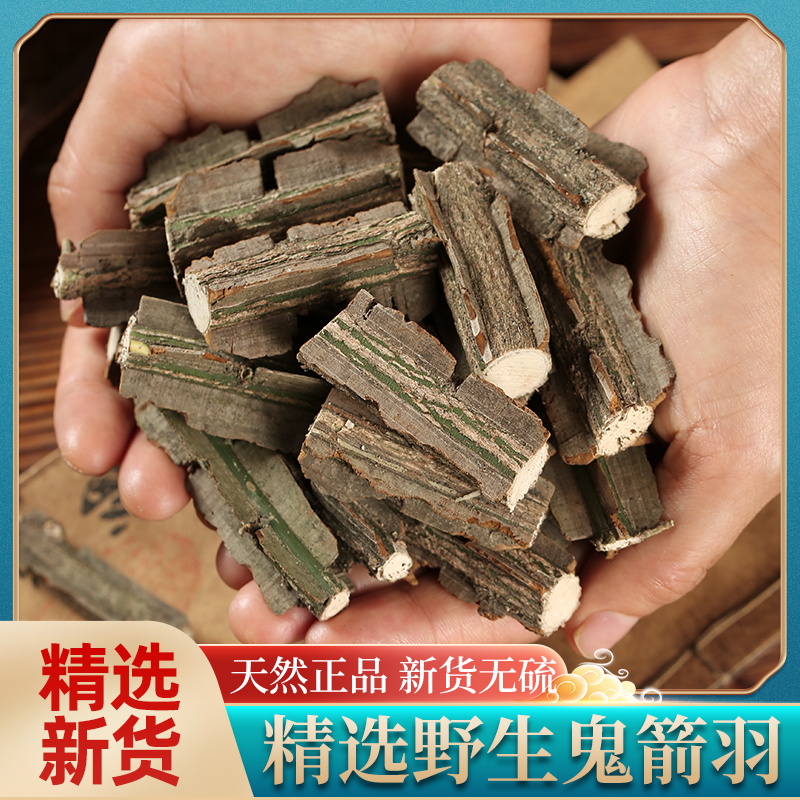 新货秦岭野生鬼箭羽中药材卫矛正品新鲜带枝鬼箭雨六月凌无硫500g