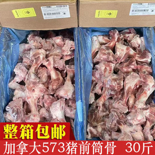 壹加壹加拿大进口573冷冻猪前腿骨15kg前筒骨带肉筒骨高汤商用批