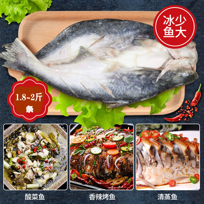 福霖开背江团鱼清江鱼冰冻整箱广东包邮清江鱼烤鱼18条装1.8~2斤