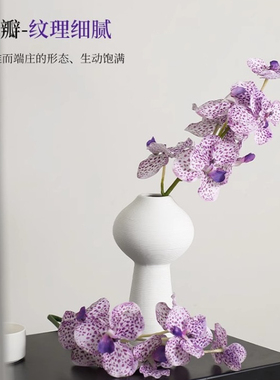 高品质手感保湿胡姬兰万代兰蝴蝶兰仿真花北欧家居装饰摄影插花材
