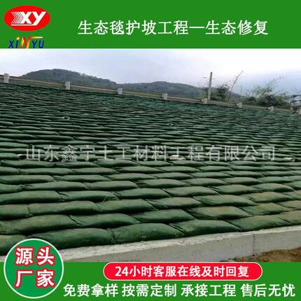 边坡生态袋带草籽河道治理山体固坡防护袋长丝绿色透水保土生态袋
