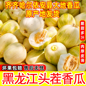 黑龙江香瓜老品种脆甜瓜京蜜甜瓜白糖罐当季新鲜水果现摘现发甜脆