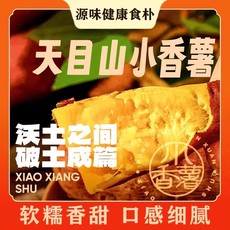 临安天目山小香薯正宗板栗红薯新鲜农家自种地瓜山芋小番薯
