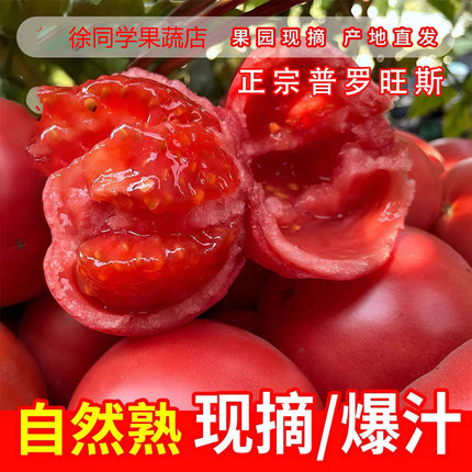 普罗旺斯孕妇水果当季现摘露天沙瓤西红柿自然熟新鲜生吃番茄蔬菜