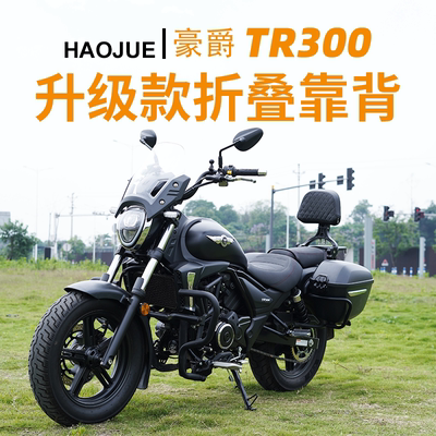 适用豪爵TR300plus改装件折叠靠背都市版旅行版货架多功能配件