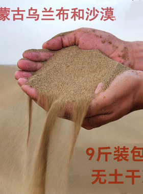 内蒙古沙漠沙干净细沙子沙袋沙风景沙玩具沙黄沙鱼缸宠物沙9斤装