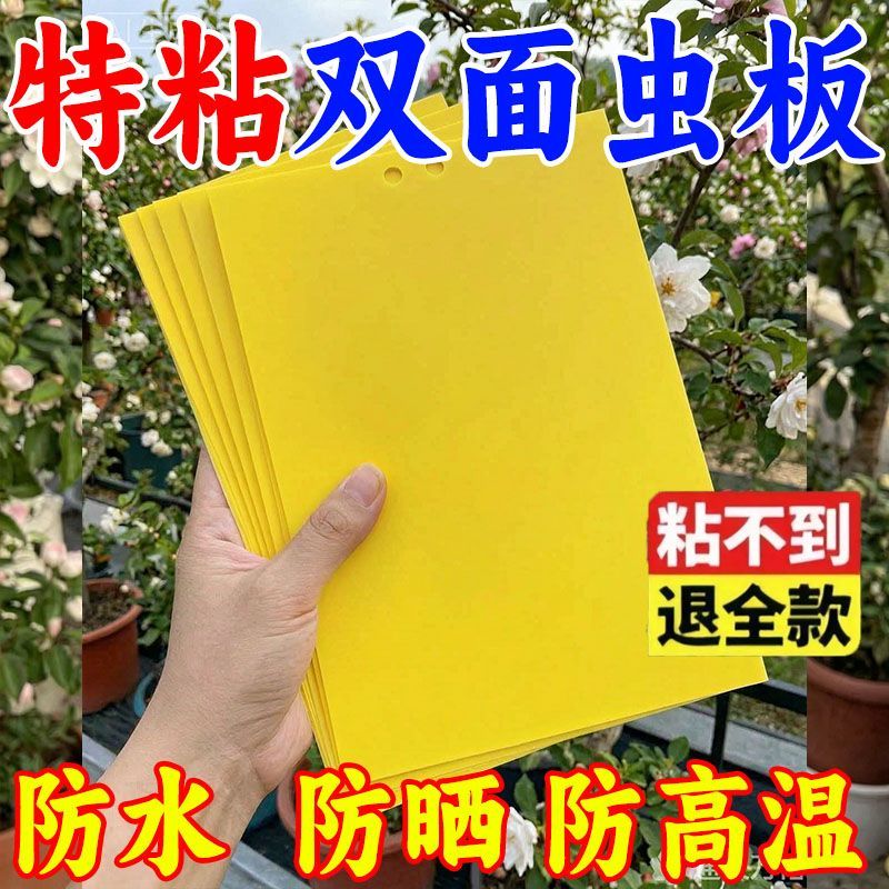 特粘双面黄板虫板大棚诱捕器