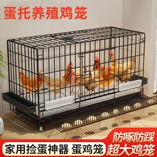 鸡笼子家用大号养殖鸡笼户外养殖笼鸭笼繁殖鸡舍鸡窝铁丝网鸡笼