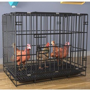 折叠养鸡笼子家用加粗加密大号大室内养鸡鸭养殖笼铁笼鸡舍