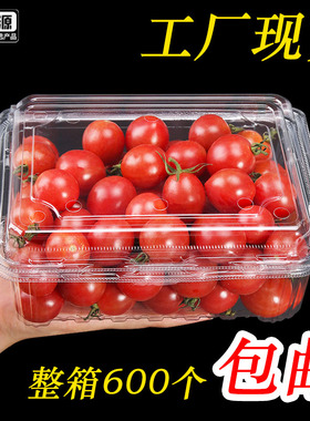 超市一次性水果盒500M水果包装盒子透明保鲜盒塑料草莓水果打包盒