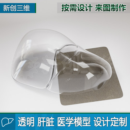 3D打印透明肝脏教学教具医学定制