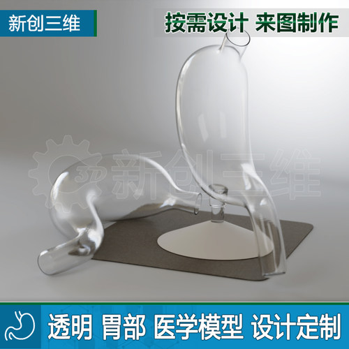 3D打印透明胃模型胃镜教学定制