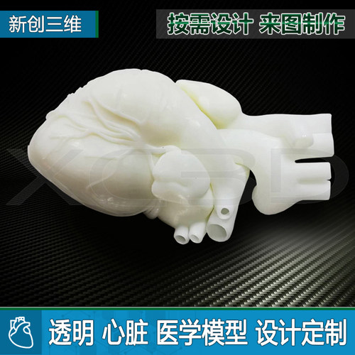 新创三维3D打印透明可拆装人体