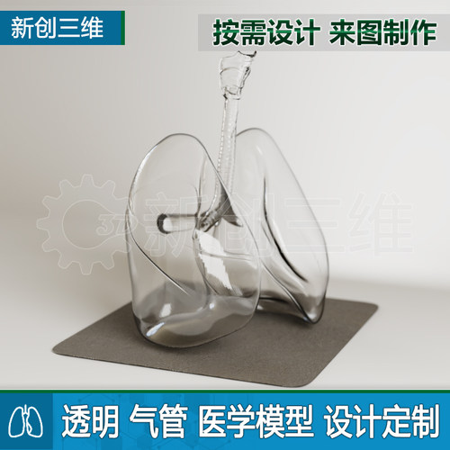 3D打印透明肺肺叶支气管模型定制