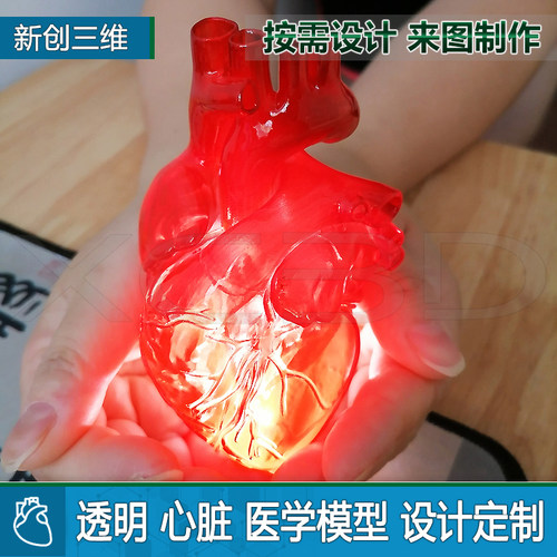 3D打印透明可拆装心脏左心房医学