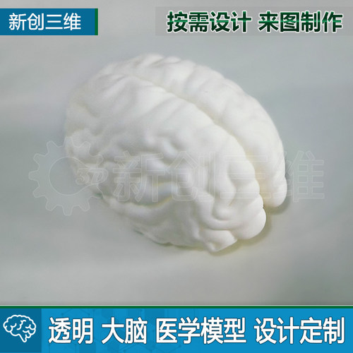 3D打印透明大脑模拟定制医疗心脏医学教学教具脑部肺部胃肝脏肾脏
