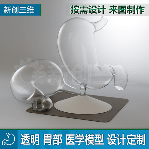3D打印透明胃模型胃镜教学定制