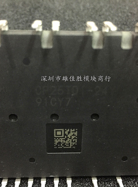 CP30TD1-12A CP10TD1-24A CP20TD1-12A CP25TD1-24Y CP15TD1-24Y