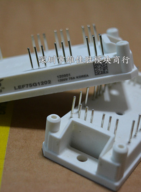 LEF75G1202 LEF30M90T LEF60M50T LEF45M50T LEF75G602 LEF50G6