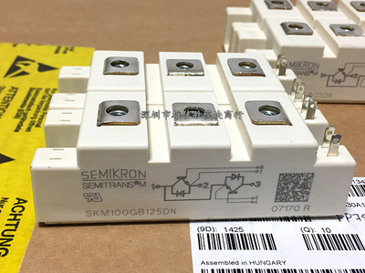 SKM195GB126DN SKM195GB124DN SKM145GB128DN SKM100GB125DN 75GB