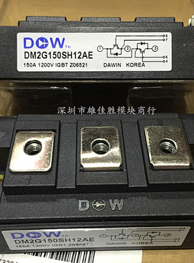 DM2G150SH12AE DM2G150SH12A DM2G200SH12A DM2G300SH12A