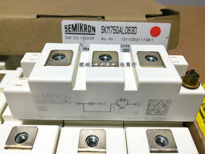 SKM75GAL123D SKM75GAR063D SKM100GAL12T4 BSM75GAL120DN2