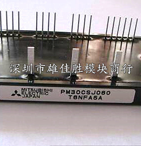 PM10CSJ060 PM20CSJ060 PM30CSJ060 PM15CSJ060