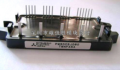 PM10CSJ060 PM20CSJ060 PM30CSJ060 PM15CSJ060