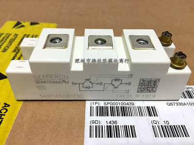 SKM145GB123D SKM145GB128D SKM100GB128D SKM195GB126DN全新