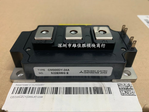 T128F12TEL SG2000GXH21 P200PH02EK0 CM300DY-24A