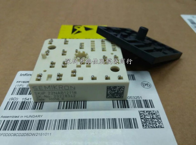 全新原装SKIIP22NAB12T18 SKIIP20NAB12T45 SKIIP22NAB12T46