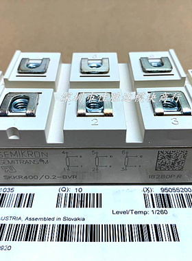 SKKR400-0.2-BVR SKKR400-02 SKKR400/0.2-BVR