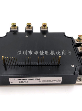 PM300RL1A060 202G PM300CL1A060 PM300CLA060