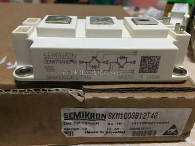 SKM100GB12T4G SKM150GB123D SKM150GB124D SKM200GB124D