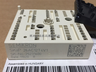 SKIIP25AC126V1 SKIIP26AC12T4V1 SKIIP24AC126V1 23AC12T4V1