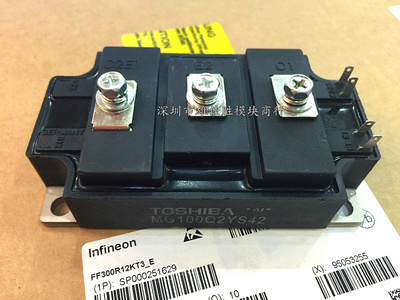 MG100Q2YS51 MG100Q2YS42 MG100Q2YS1 MG150Q2YS1