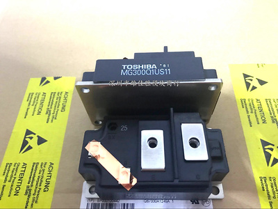 MG300Q1US1 MG300Q1US11 MG300Q1US41 MG300Q1US51 MG200Q1US1