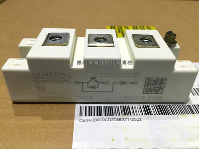 SKM145GAL176D/173D/174DN SKM195GAL124D SKM75GAL123D SKM100GA