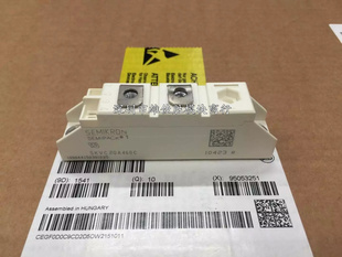 SKVC20A460C SKVC20A460 SKVC20A251 全新原装