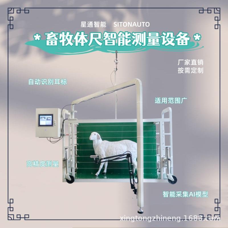 牛羊体尺体廓自动测量设备深度相机AI模型无接触测量高效