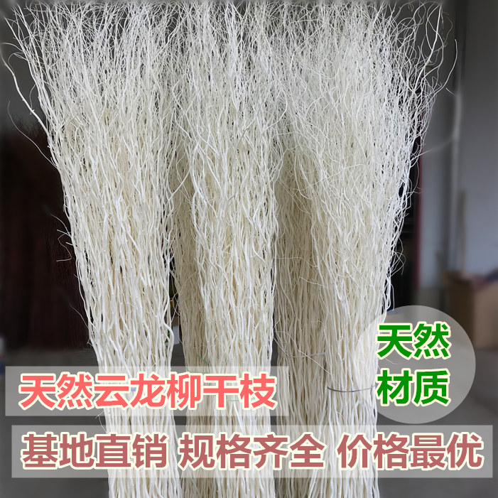 炫之皎天然龙柳干枝云龙柳干花干树枝装饰插花艺术婚庆拱门玄关布 小编推荐 Wepost 全民代运 马来西亚中国淘宝代运与集运专家