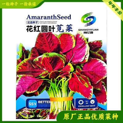 【尚亿源】花红圆叶苋菜种子耐热四季种籽高产阳台盆栽速生蔬菜种