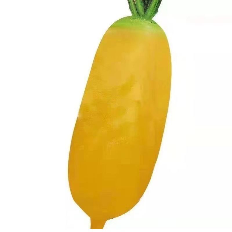 黄长蔓菁种子黄皮蔓菁芜菁萝卜四季耐高温甜面抗病蔬菜黄萝卜种J